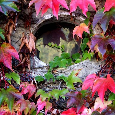 Au Relais De Neche. Bed and Breakfast Begues Buitenkant foto