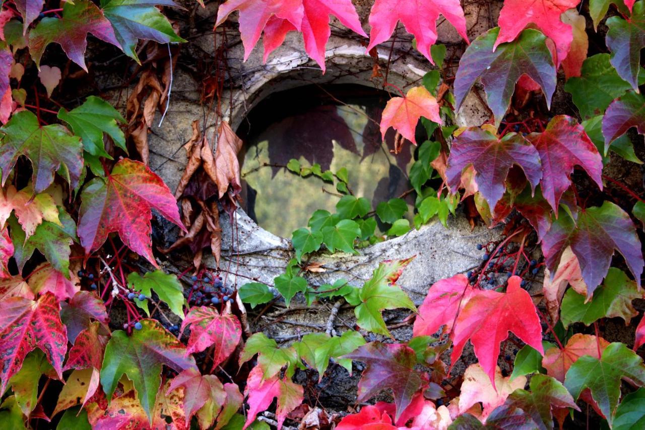 Au Relais De Neche. Bed and Breakfast Begues Buitenkant foto